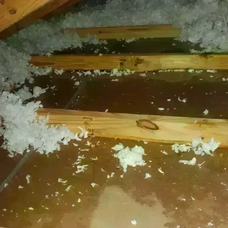 Attic Water Damage in Bridgeport, WA