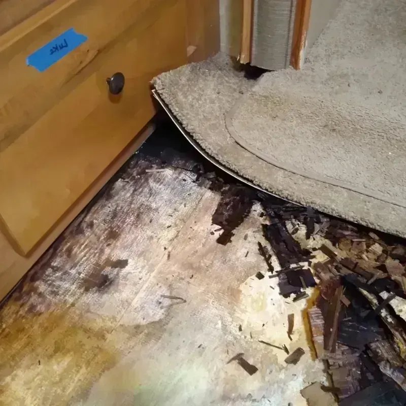 Wood Floor Water Damage in Bridgeport, WA